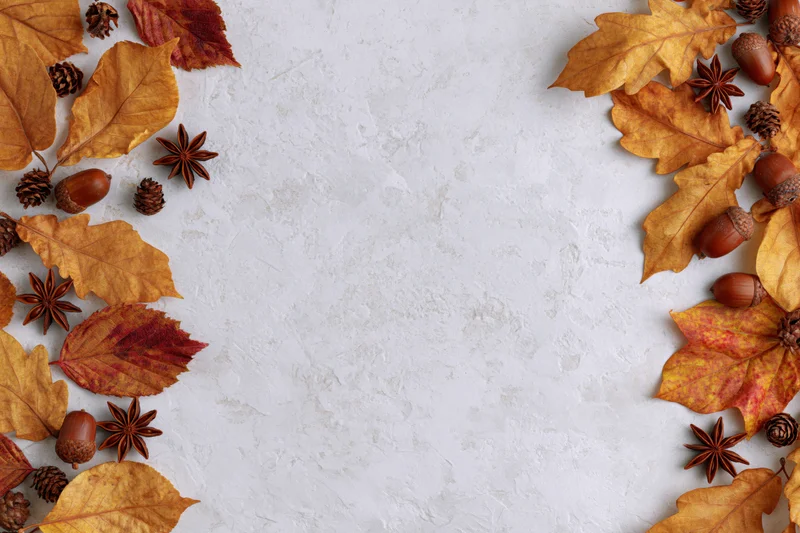 Dried autumn leaves acorns star anise and pine cones arranged in border on textured white surface with copyspace