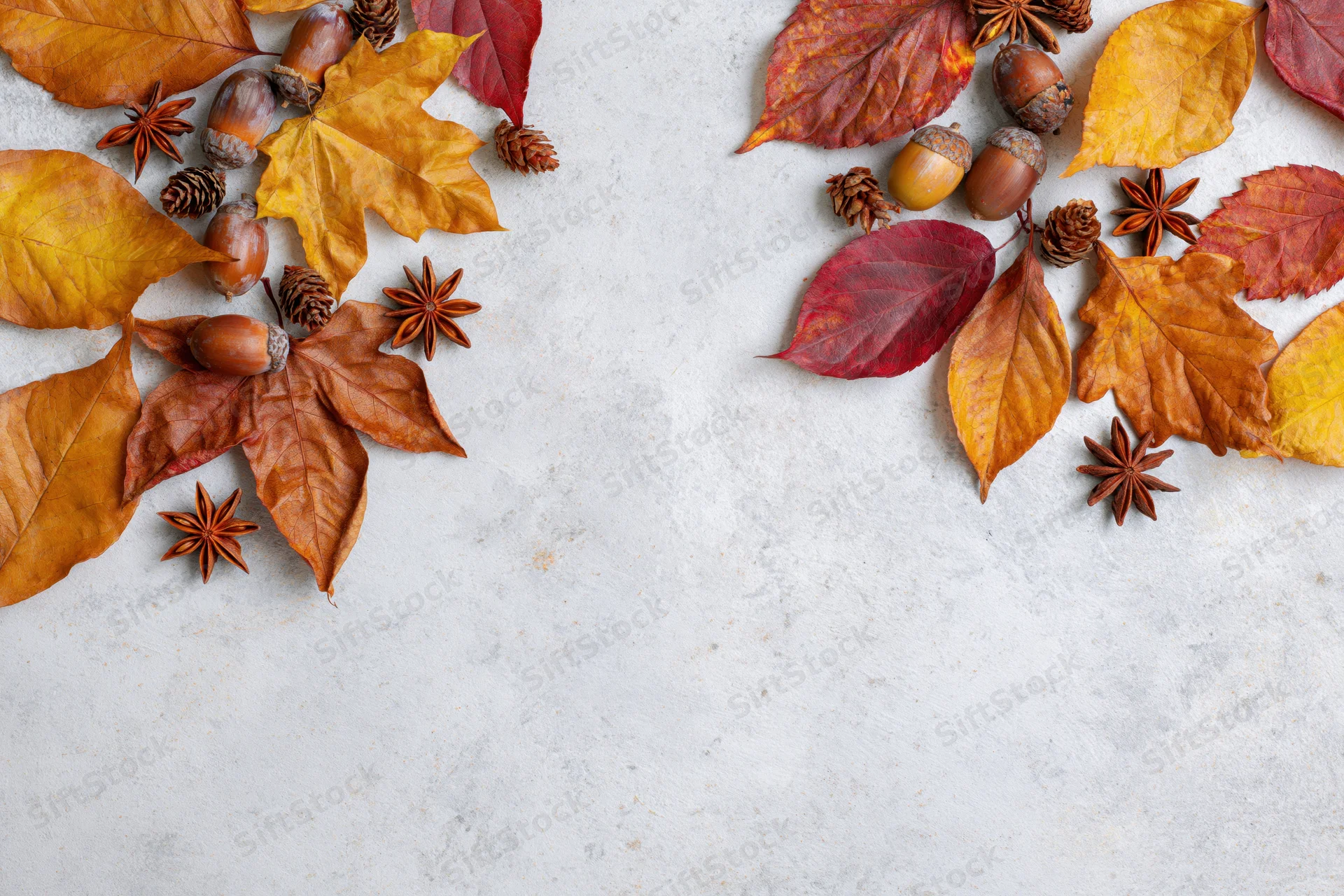 Dried autumn leaves acorns star anise and pine cones arranged on a gray surface with copyspace