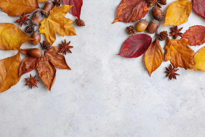 Dried autumn leaves acorns star anise and pine cones arranged on a gray surface with copyspace