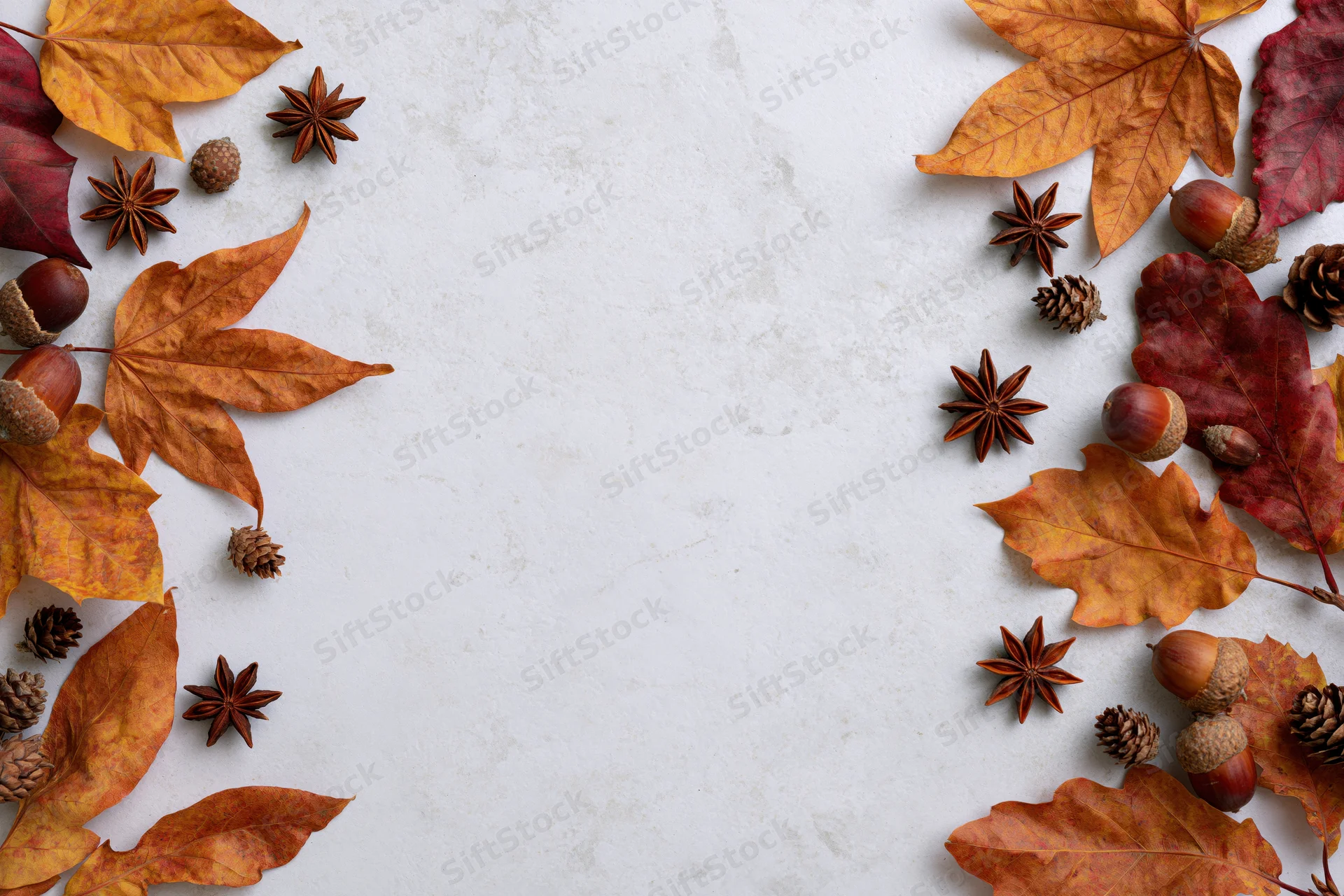 Dried autumn leaves acorns star anise and pine cones arranged along sides of white surface with central copyspace