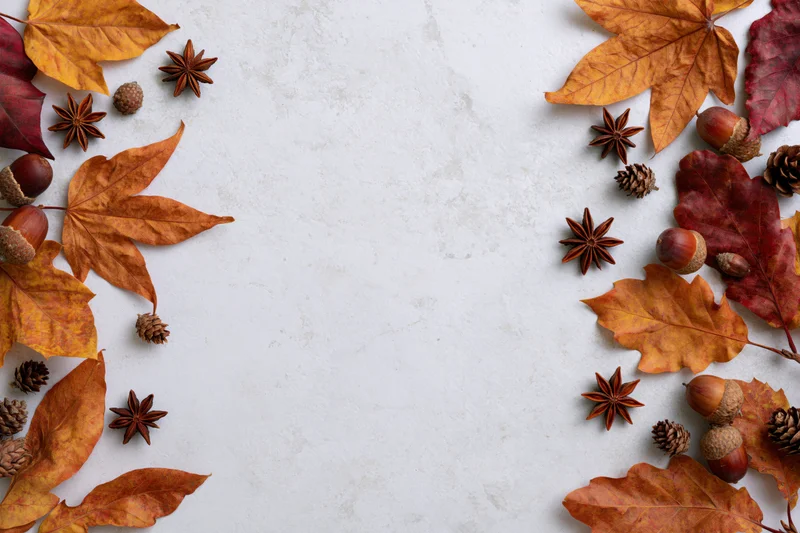 Dried autumn leaves acorns star anise and pine cones arranged along sides of white surface with central copyspace