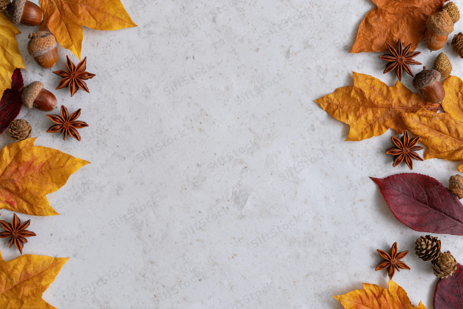 Dried autumn leaves acorns star anise and pine cones arranged along the edges of a white textured surface with central copyspace