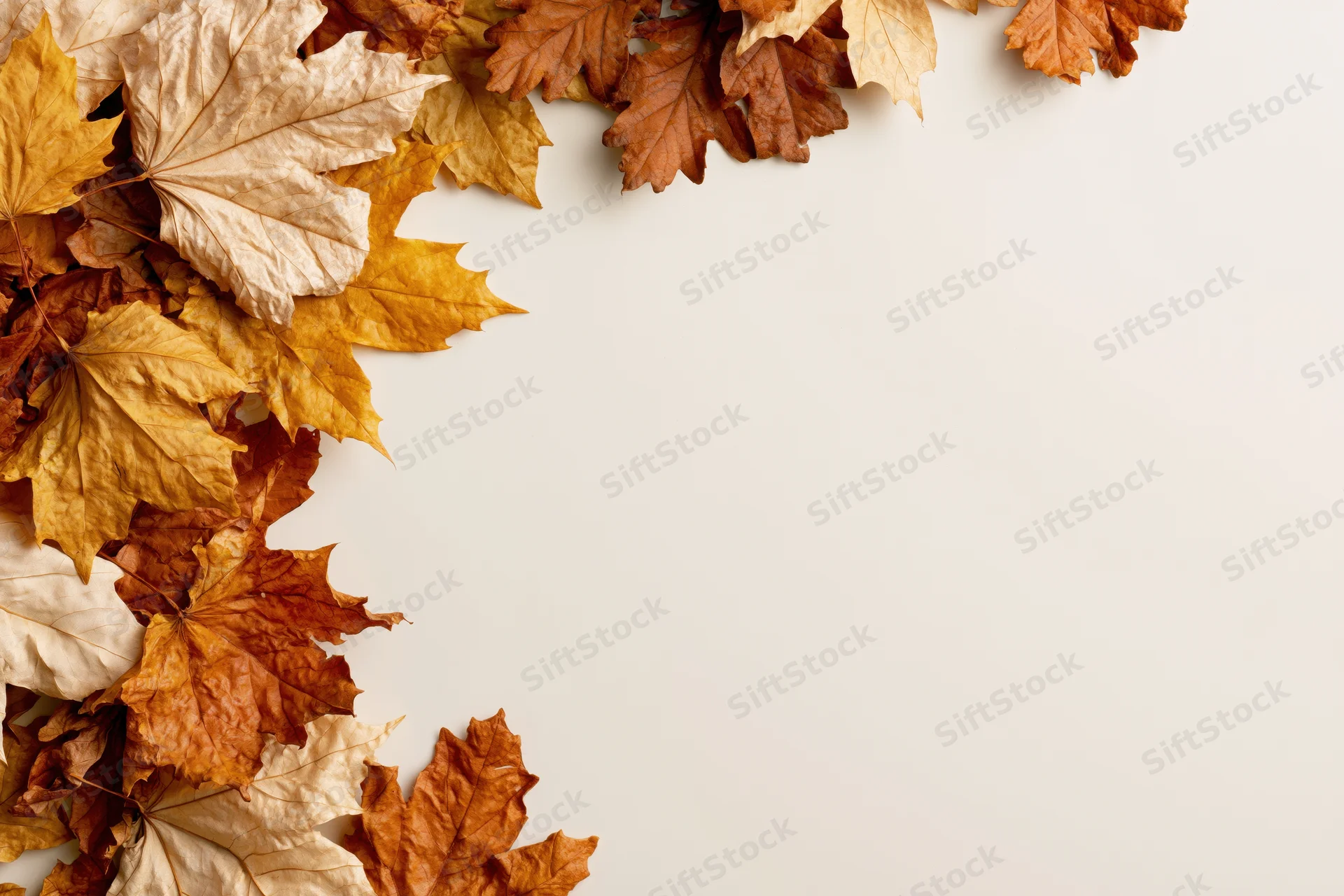 Dried autumn maple leaves arranged along the left and top edge on a plain surface