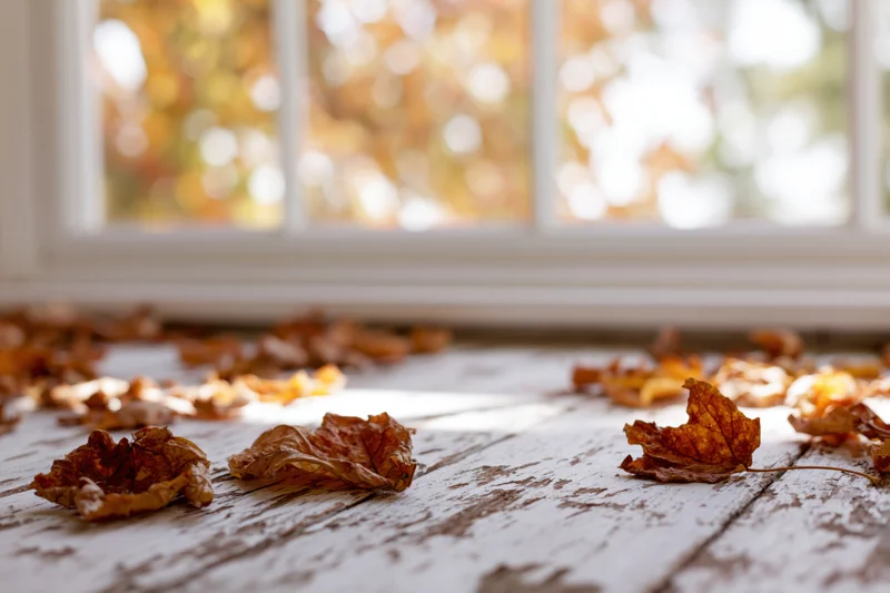 Dried autumn leaves scattered on a weathered white-painted wooden floor near a window with blurred foliage outside