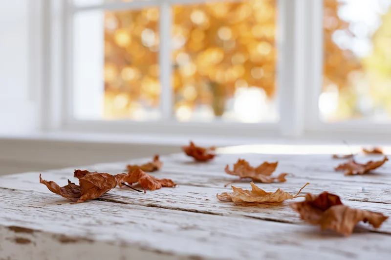 Dried autumn leaves scattered on a worn white-painted wooden table near a window with blurred fall foliage outside