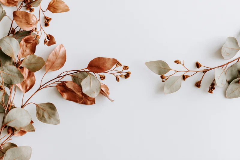 Dried eucalyptus branches with copper and sage leaves arranged on white surface