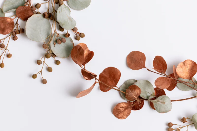 Dried eucalyptus branches with copper and sage leaves arranged on white surface