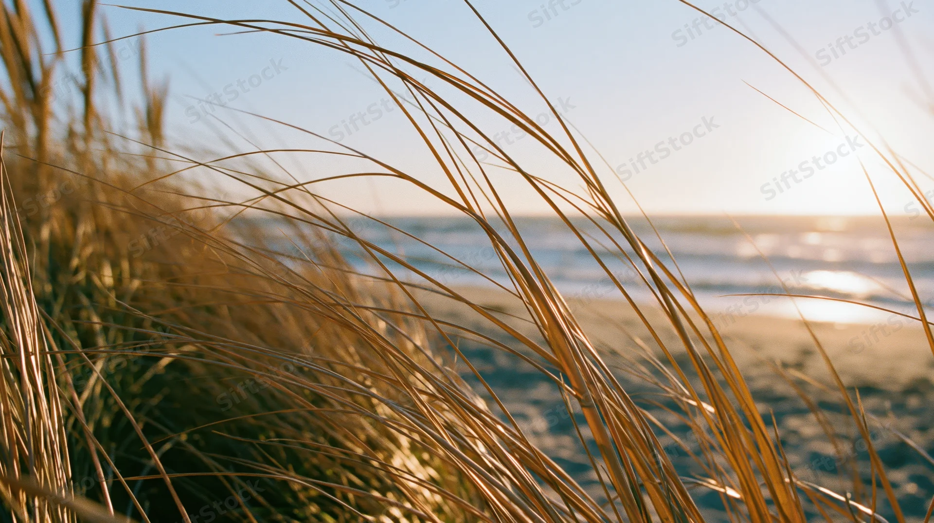 Dry golden beach grass in foreground framing calm ocean at sunset
