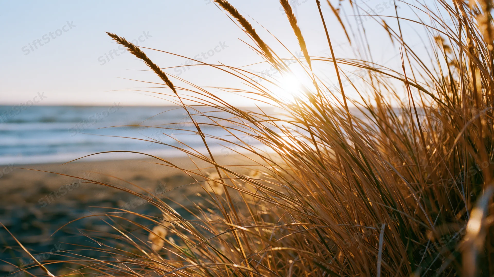 Dry golden beach grass in foreground framing calm ocean at sunset