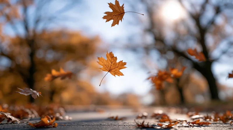 Dry maple and oak leaves falling in a gust of wind over a paved path in an autumn park