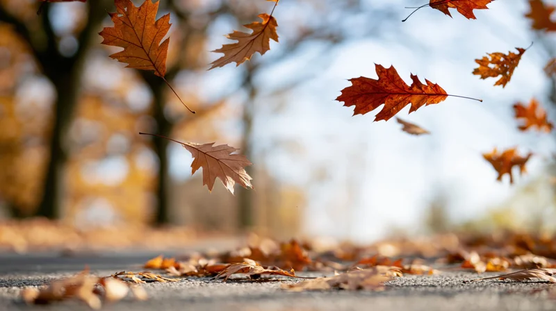Falling autumn leaves swirling in wind over pavement in a park