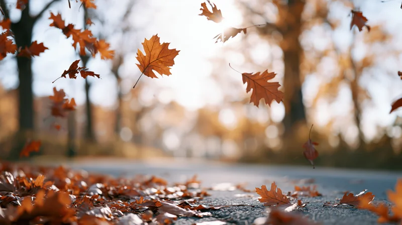 Falling maple and oak leaves swirling in a gust of wind over a paved path in an autumn park