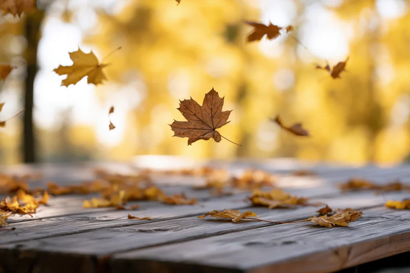 Maple leaves falling and scattered across a weathered wooden table outdoors