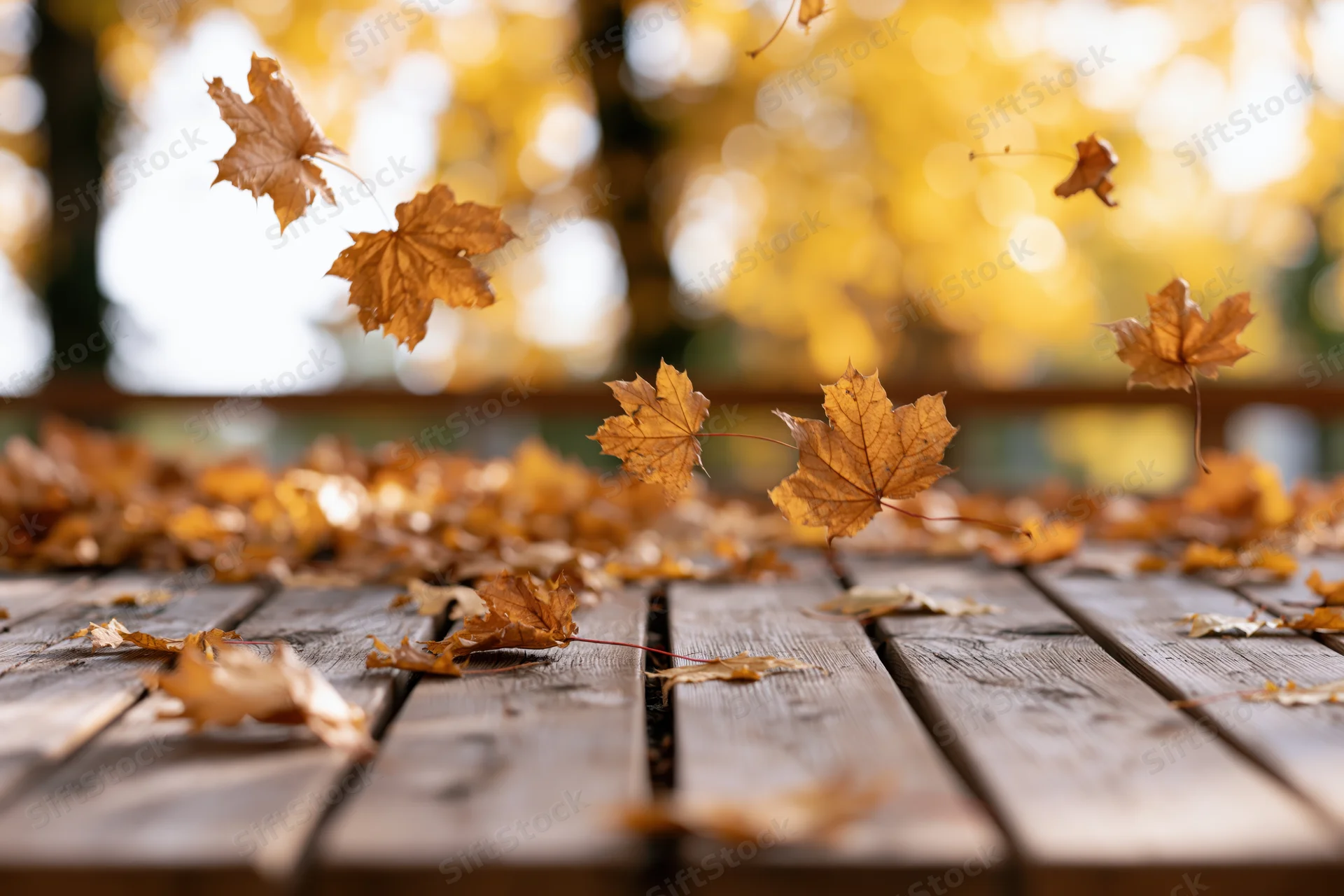 Dry maple leaves falling and scattered across a weathered wooden deck outdoors