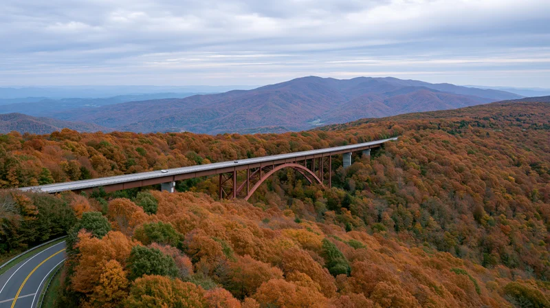 Elevated steel viaduct crossing autumn forested valley with winding road below