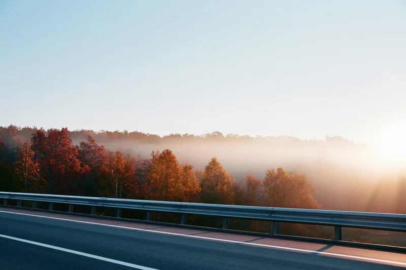 Empty asphalt highway with metal guardrail alongside autumn trees at sunrise