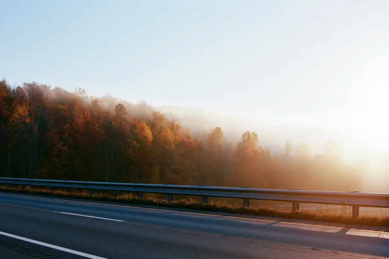 Empty asphalt highway with metal guardrail alongside autumn forest at sunrise
