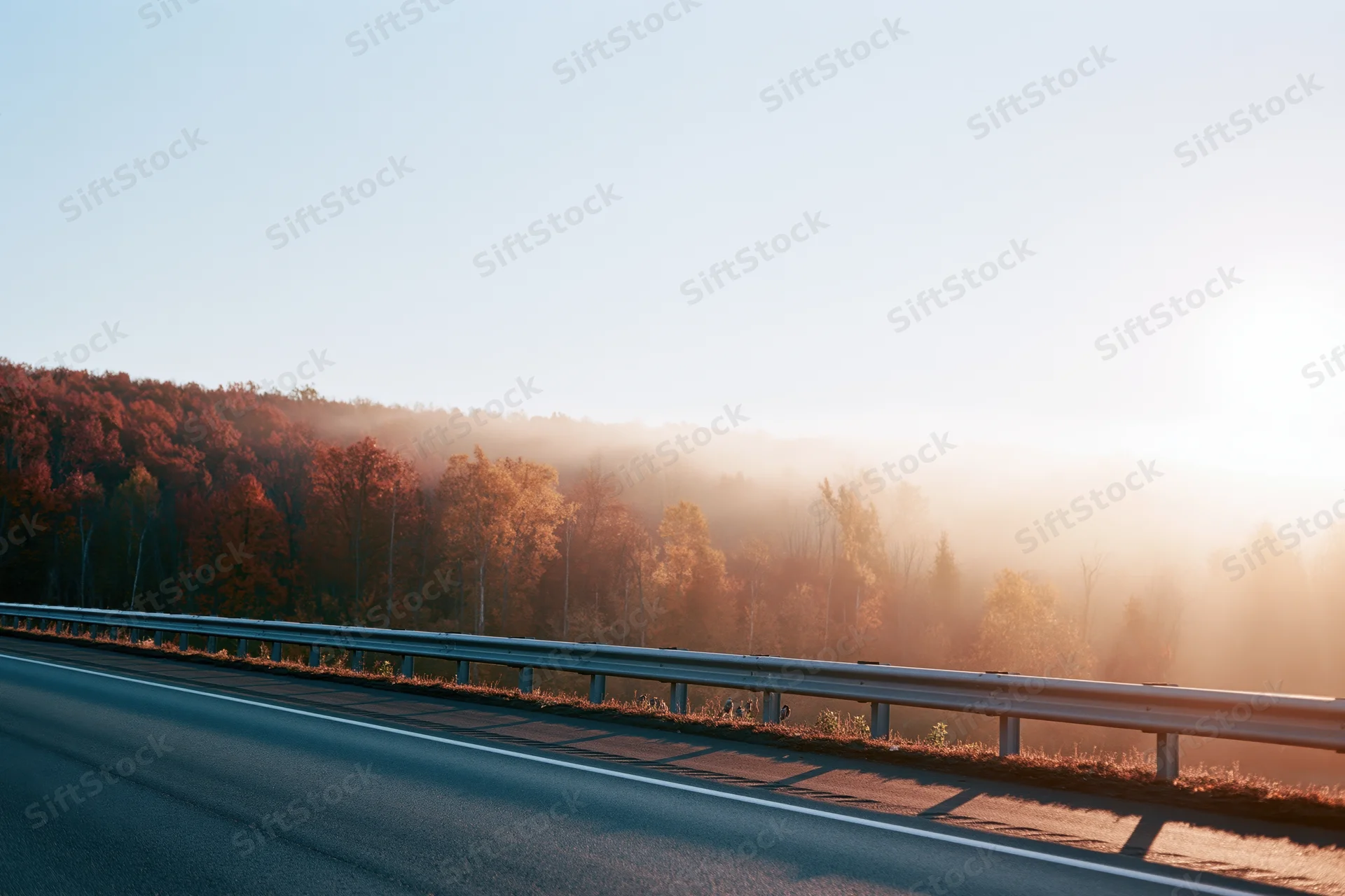 Empty asphalt highway with metal guardrail alongside autumn forest at sunrise