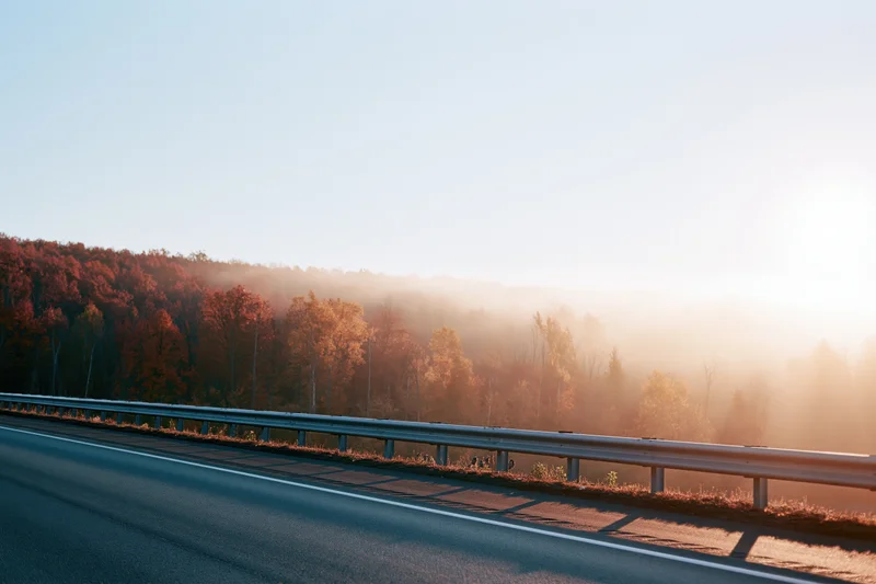 Empty asphalt highway with metal guardrail alongside autumn forest at sunrise