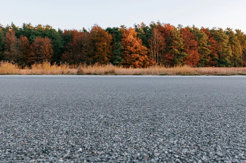 Empty asphalt road surface stretching toward a forested horizon in autumn