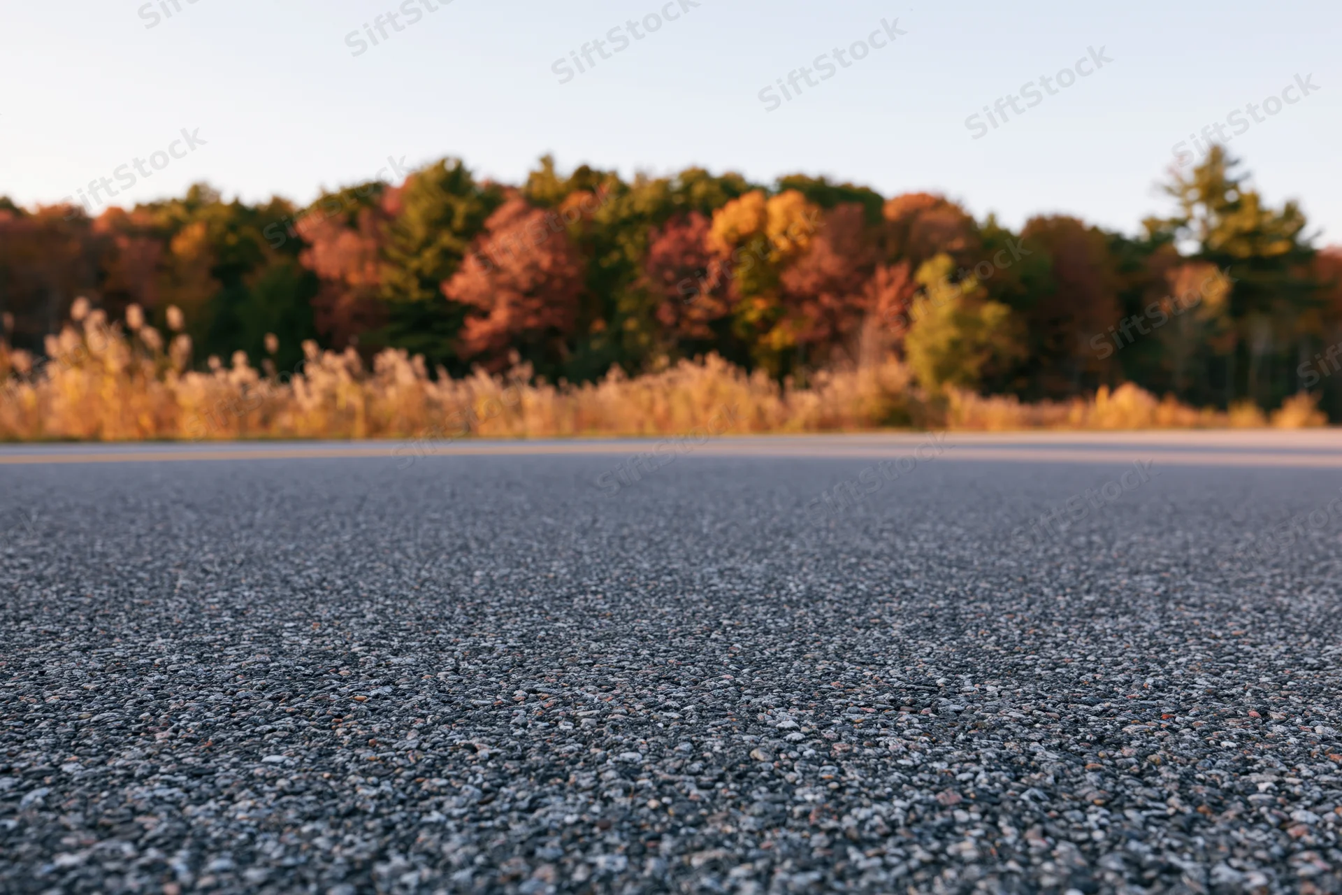 Close-up of asphalt road surface stretching toward autumn forest edge