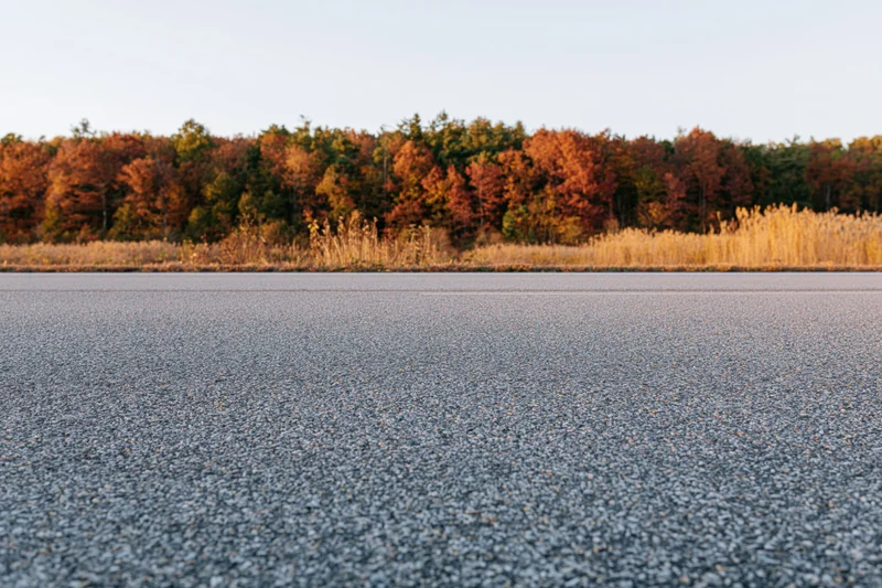 Asphalt road surface stretching toward autumn forest edge with dry grass and trees in background