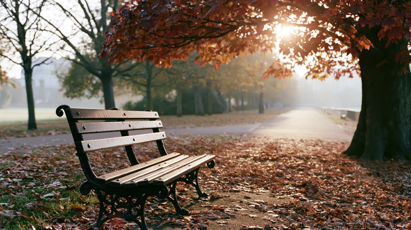 Empty park bench beside a large autumn tree on a leaf-covered path in the morning mist