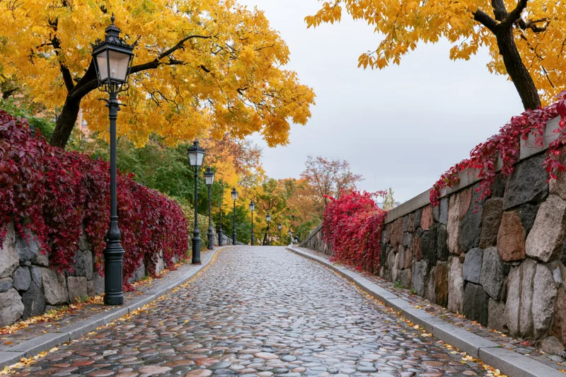 Cobblestone path curving downhill flanked by stone walls covered in red ivy and yellow-leafed trees in autumn park