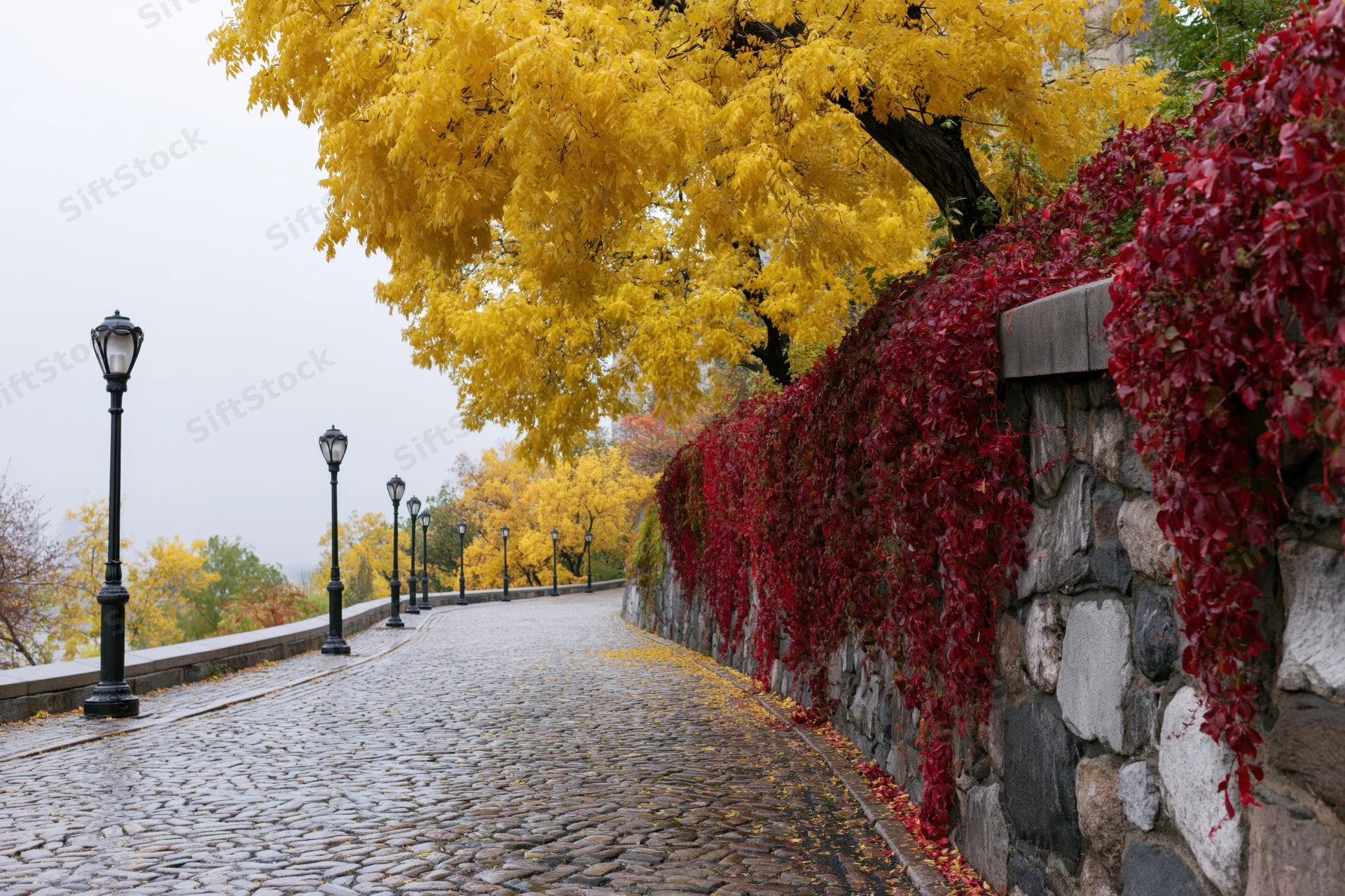Cobblestone path curving downhill flanked by yellow trees and red ivy-covered stone wall in autumn park