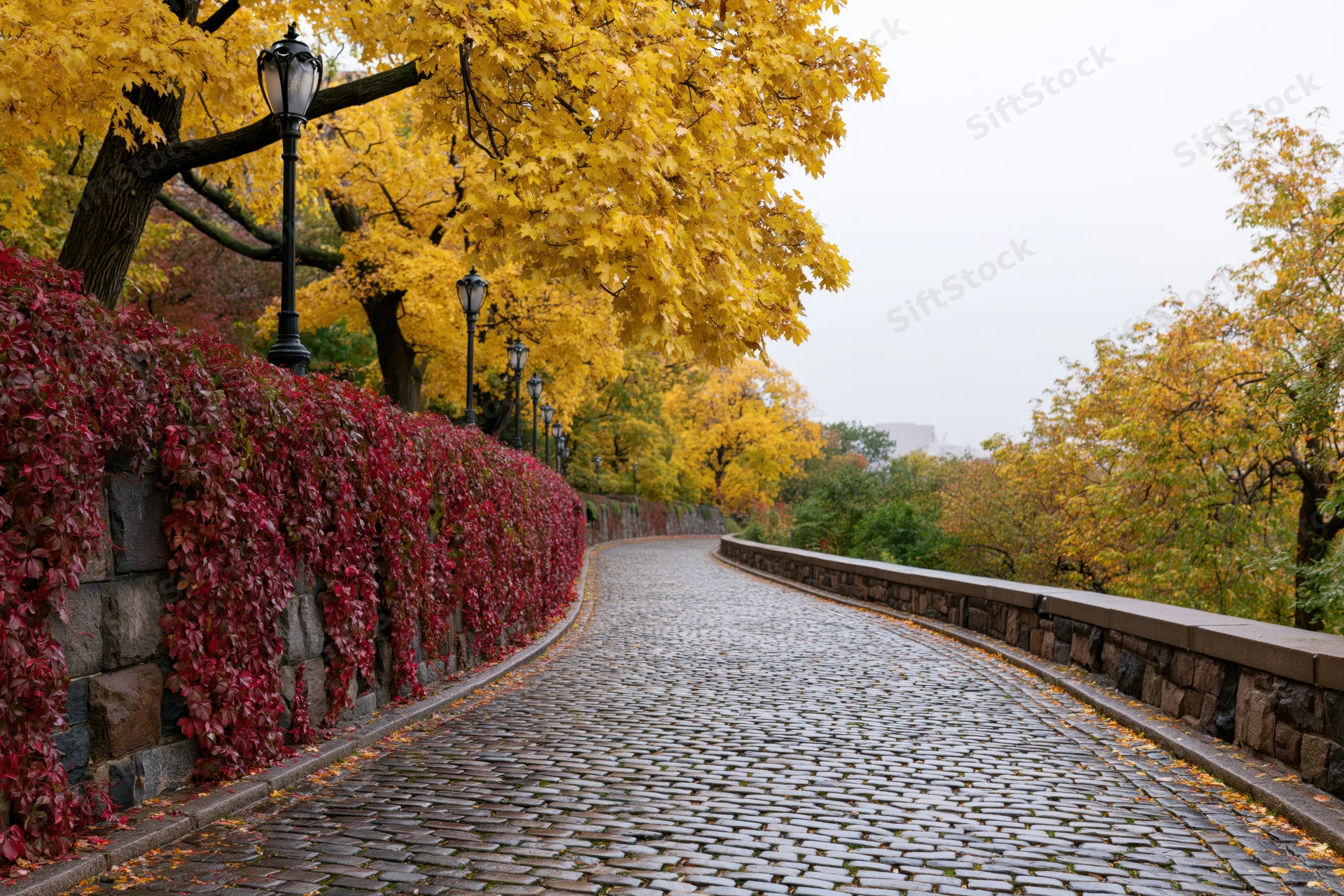 Curved cobblestone path in autumn park flanked by yellow trees and red ivy wall