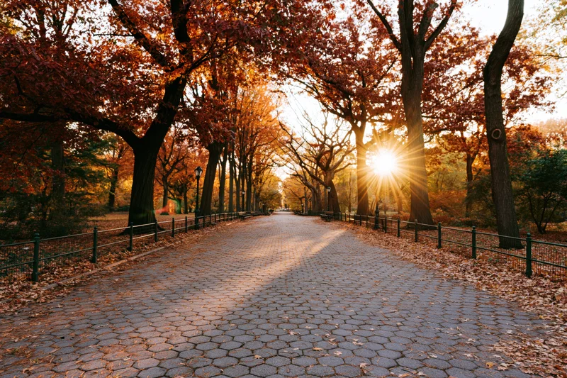 Cobblestone path lined with autumn trees and falling leaves in a park at sunset