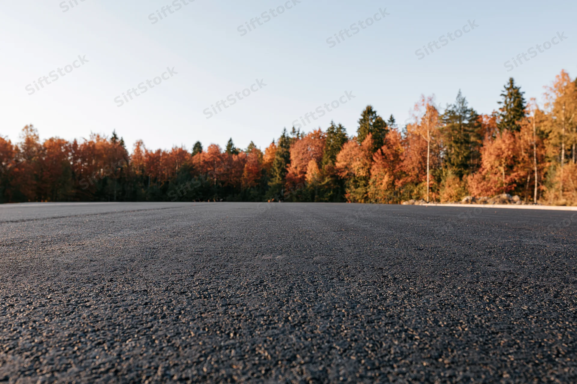 Empty asphalt road stretching toward autumn forest under clear sky