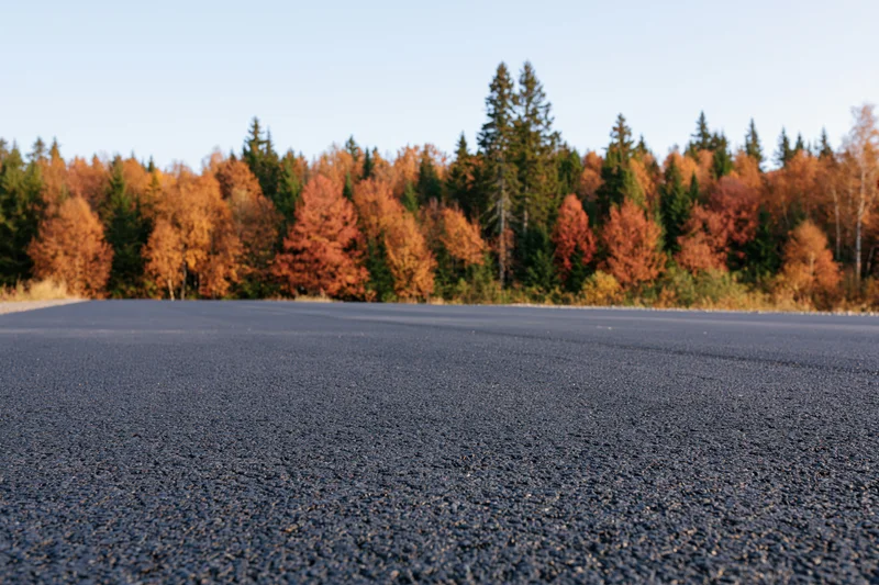 Dark asphalt road stretching toward autumn forest with colorful trees in background