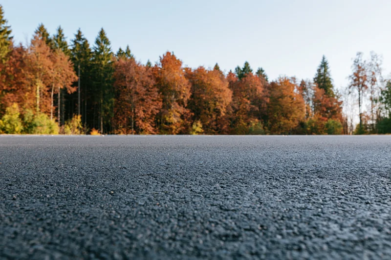 Dark asphalt road surface stretching toward autumn forest edge under clear sky