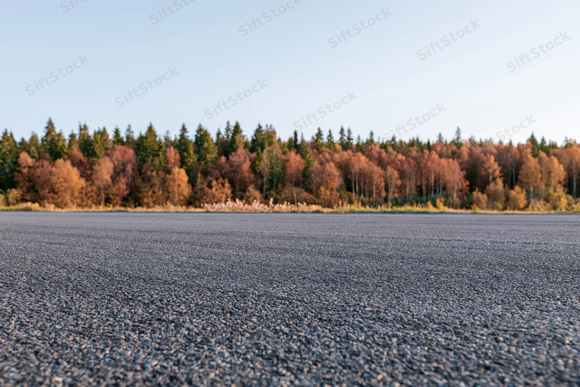Wide asphalt road surface stretching toward autumn forest under clear sky