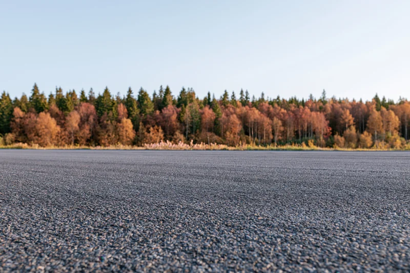 Wide asphalt road surface stretching toward autumn forest under clear sky