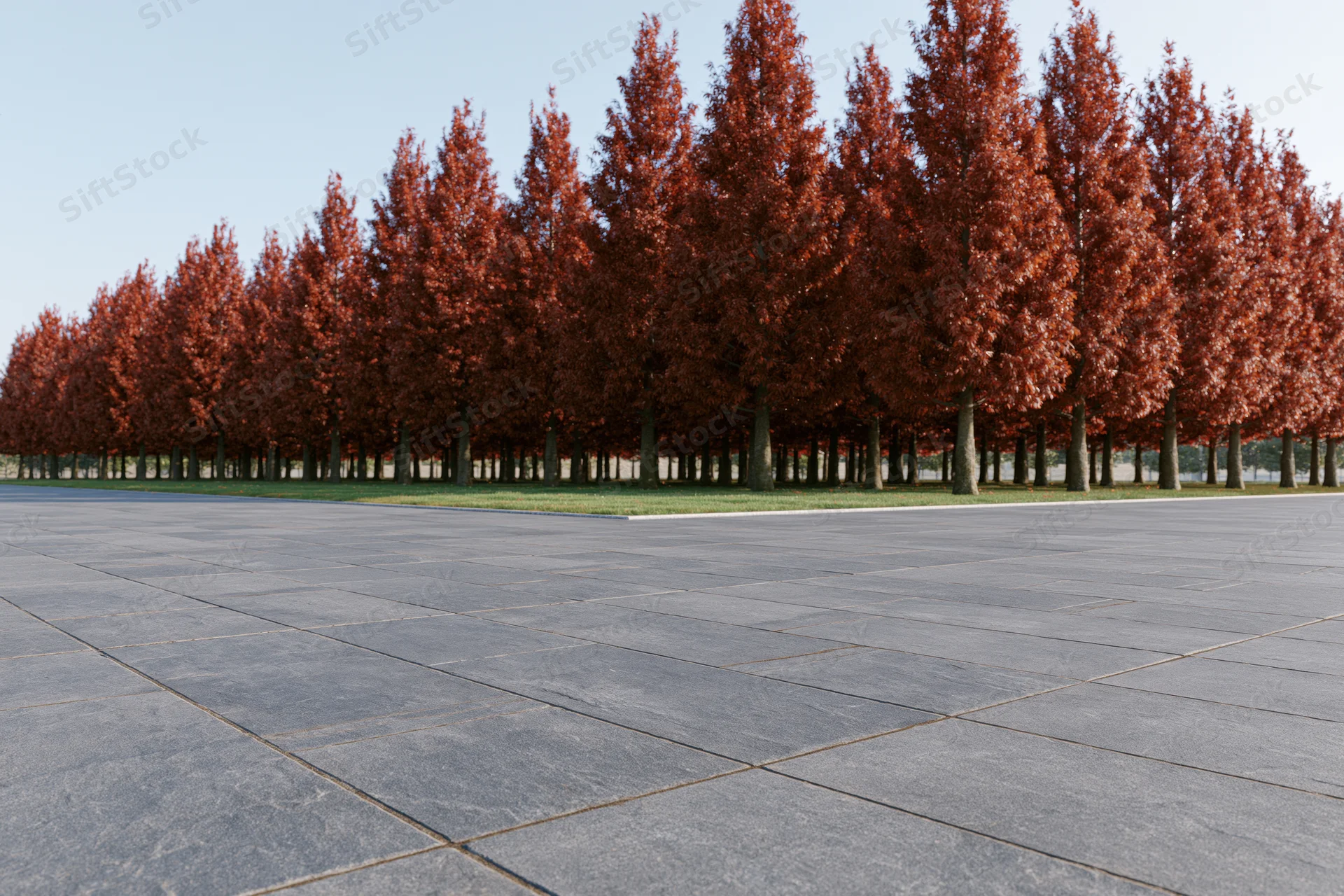 Dark grey stone-paved plaza stretching toward a row of red-leafed trees in autumn park setting