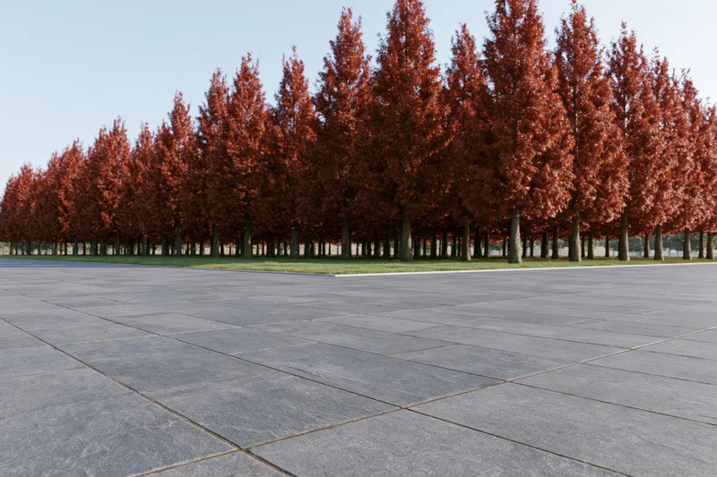 Dark grey stone-paved plaza stretching toward a row of red-leafed trees in autumn park setting