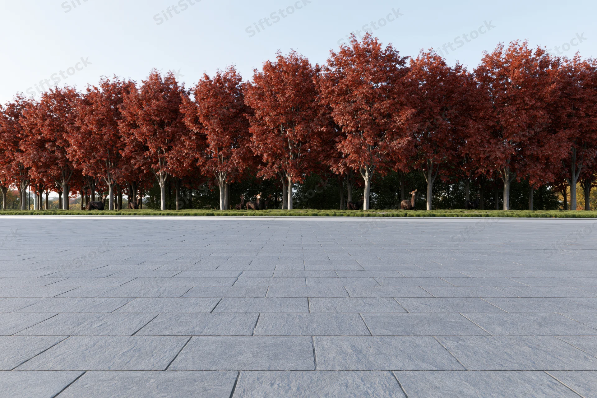 Stone-paved plaza stretching toward a row of red-leafed trees in autumn