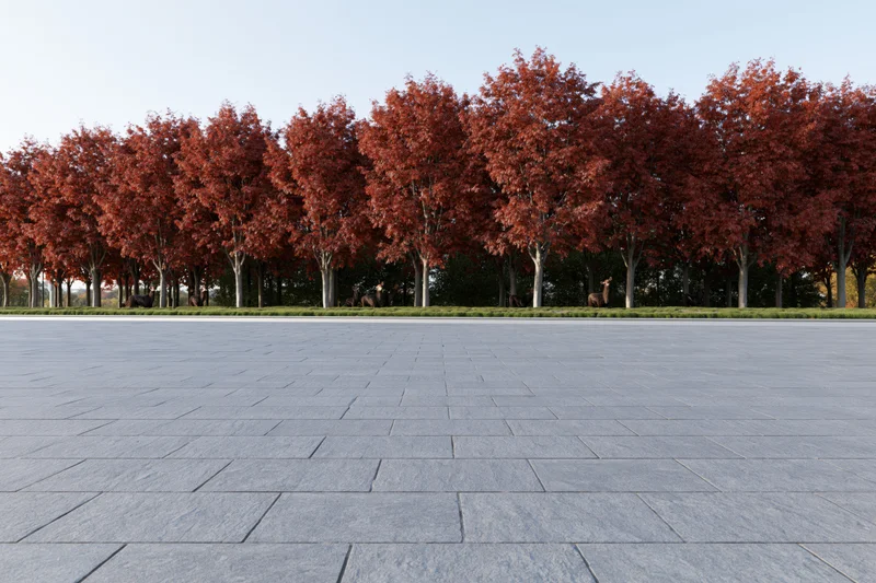 Stone-paved plaza stretching toward a row of red-leafed trees in autumn