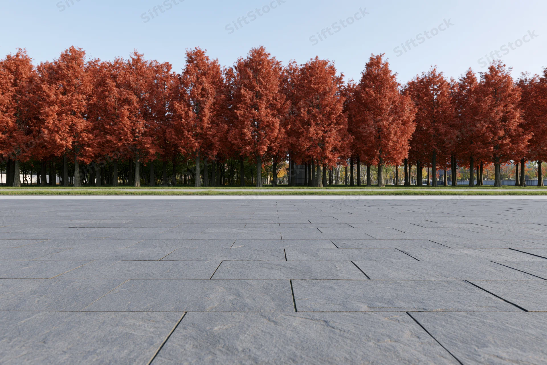 Dark gray stone-paved plaza stretching toward a row of red-leafed trees in autumn