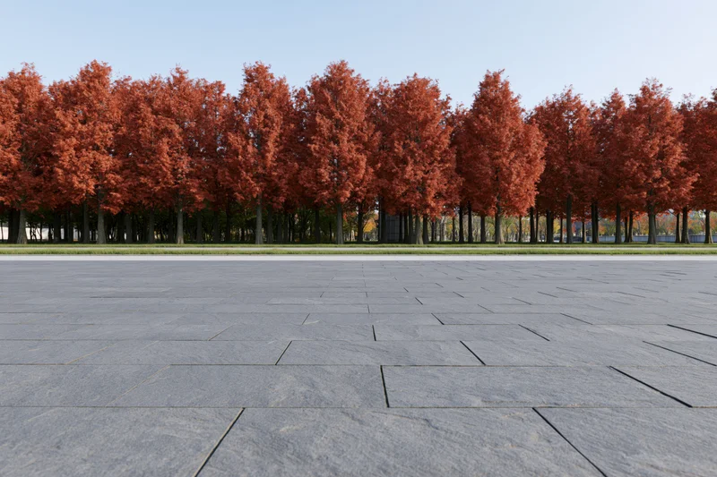 Dark gray stone-paved plaza stretching toward a row of red-leafed trees in autumn