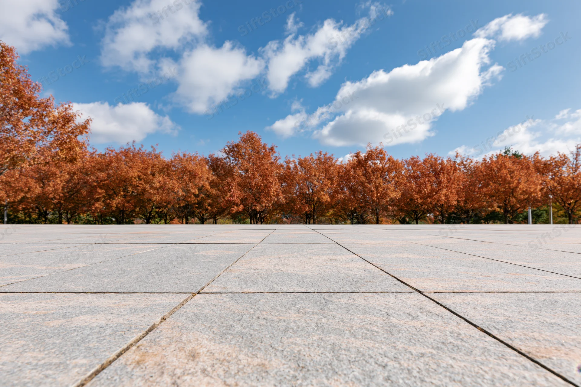 Empty granite tile plaza stretching toward a row of orange autumn trees under a blue sky with clouds