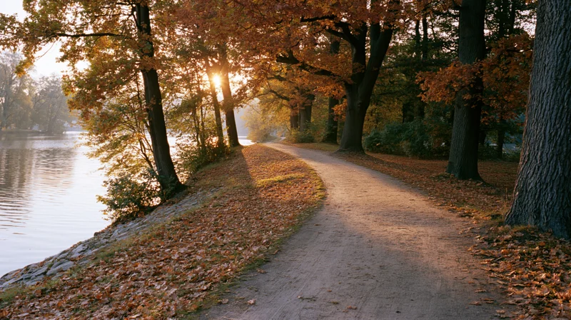 Dirt path curving along lakeside through autumn trees with sunlight filtering through foliage