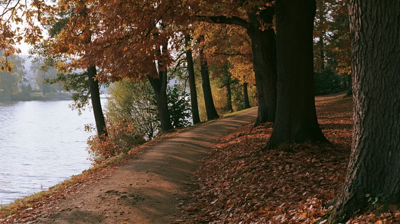 Dirt path curving along lakeside lined with mature trees in autumn foliage