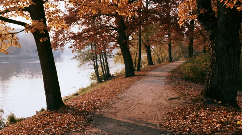 Dirt path curving through autumn trees beside a misty lake