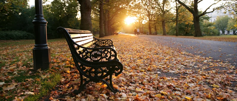 Ornate cast-iron bench beside a lamppost on a leaf-covered park pathway at sunset