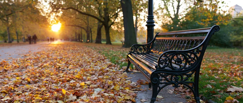 Ornate cast-iron park bench beside a lamppost on a leaf-covered path at sunset