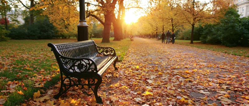 Ornate cast-iron bench beside a lamppost on a leaf-covered park pathway at sunset