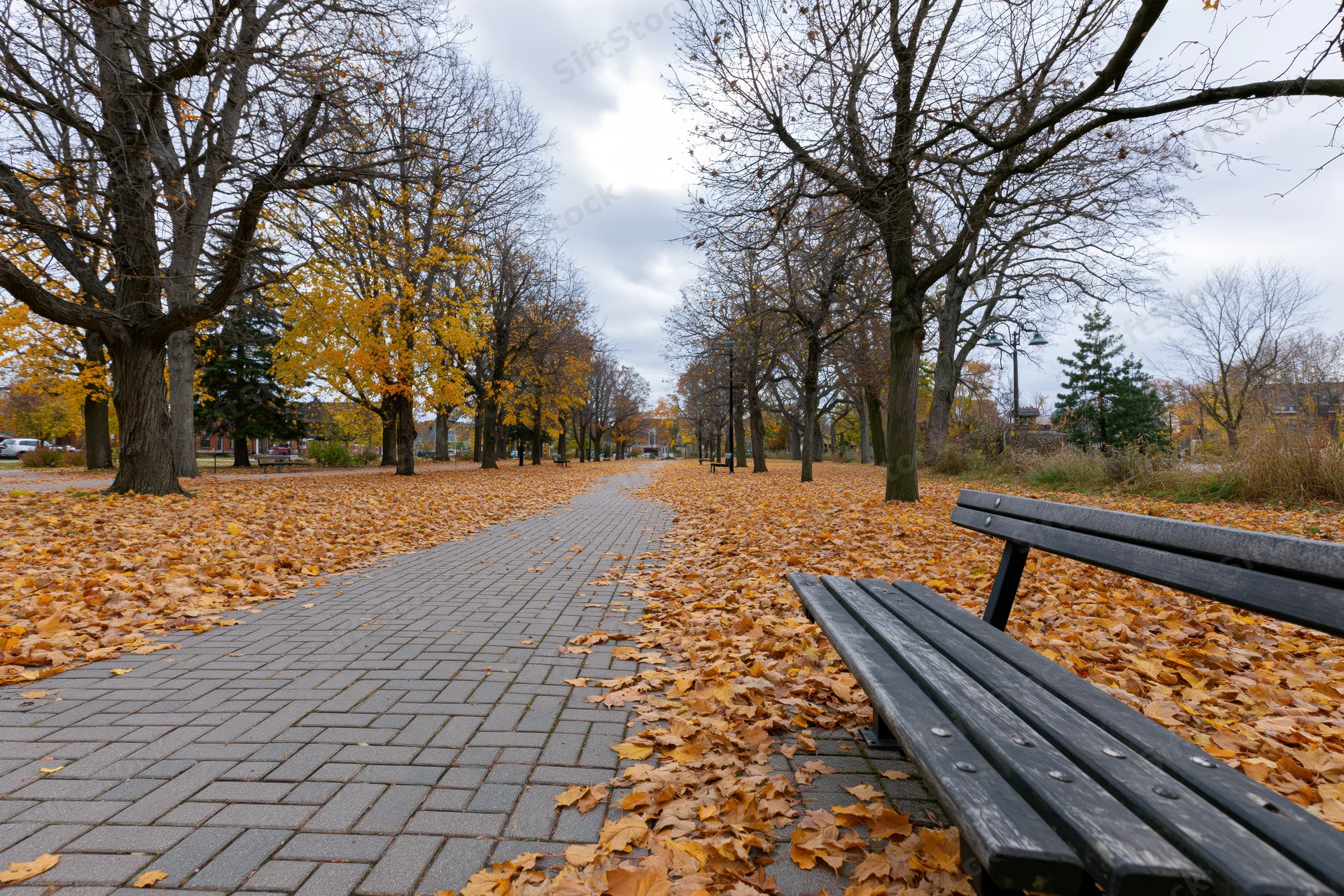 Empty park bench beside a brick-paved path covered in fallen autumn leaves under bare trees